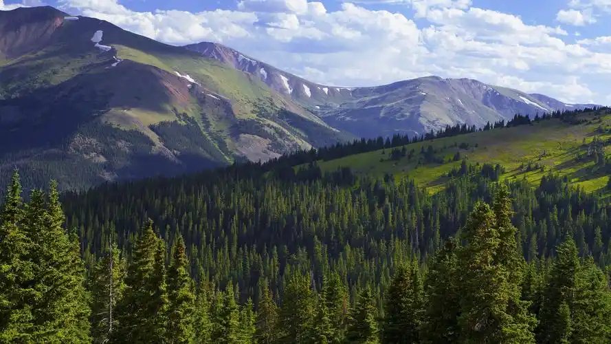 有哪些看起来很有格调的电脑桌面壁纸