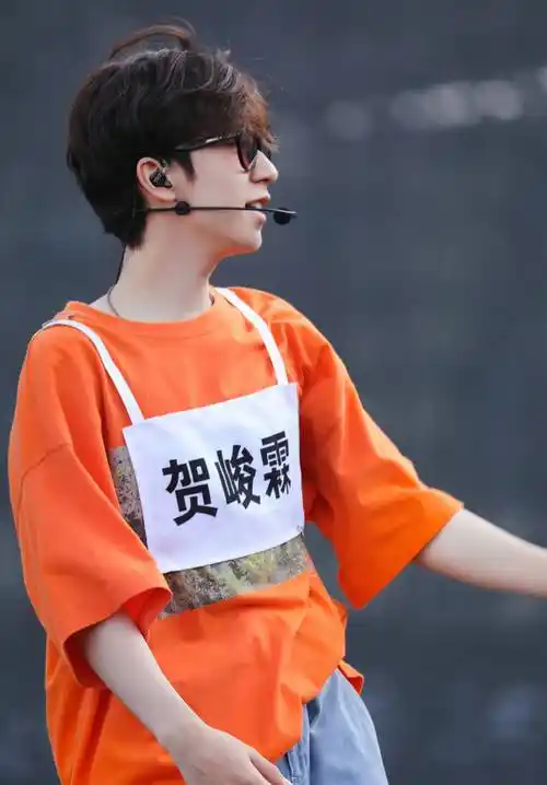 贺峻霖,2004年6月15日出生于四川省成都市,中国内地男歌手,演员,男子