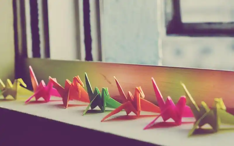 那么千纸鹤怎么折,千纸鹤的寓意是什么,我们一起来看看看吧.