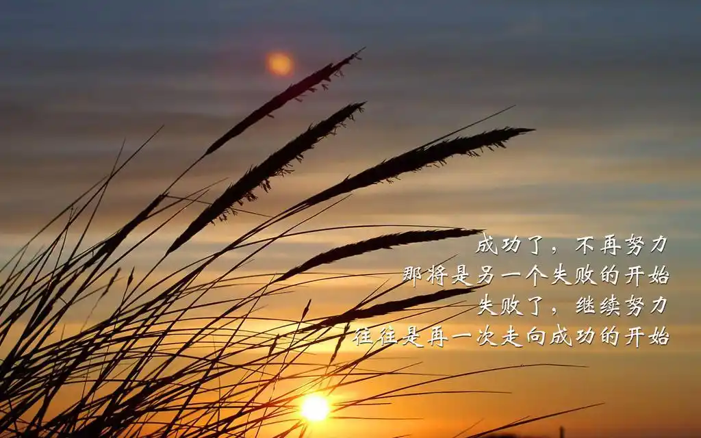 文字控励志美图壁纸