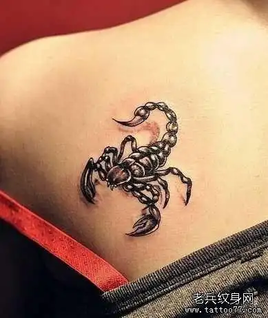 后背蝎子纹身图案