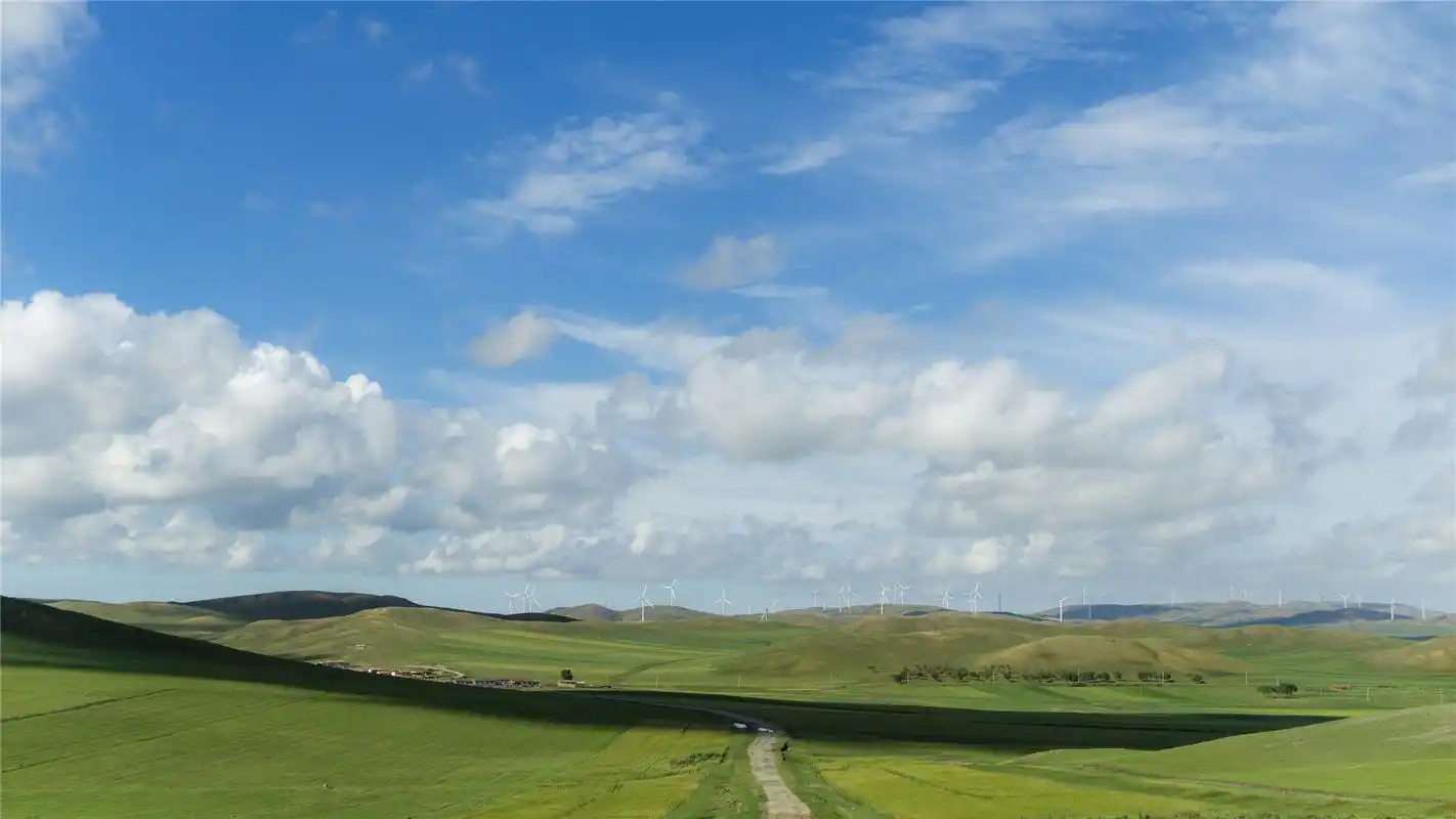 优美绿色草原风景高清桌面壁纸