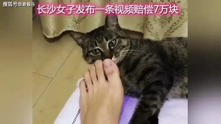 原创长沙女子发布小猫闻臭脚视频被某品牌企业起诉索赔20万还遭舆论