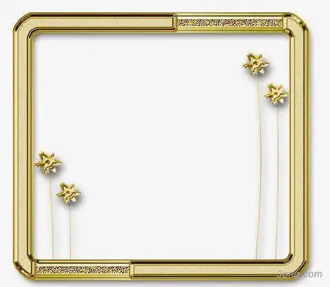 金色边框png素材透明免抠图片-动植人物-三元素3png.com