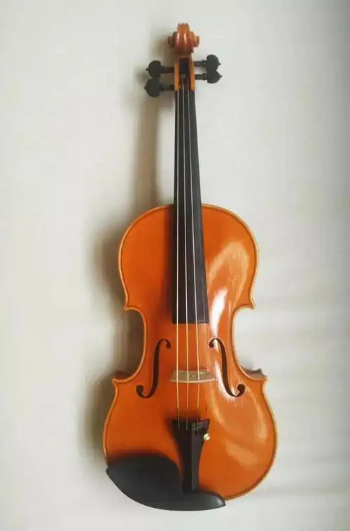 圣律音乐殿堂詹德英提琴工作室纯手工小提琴团购活动-在线订票-互动吧