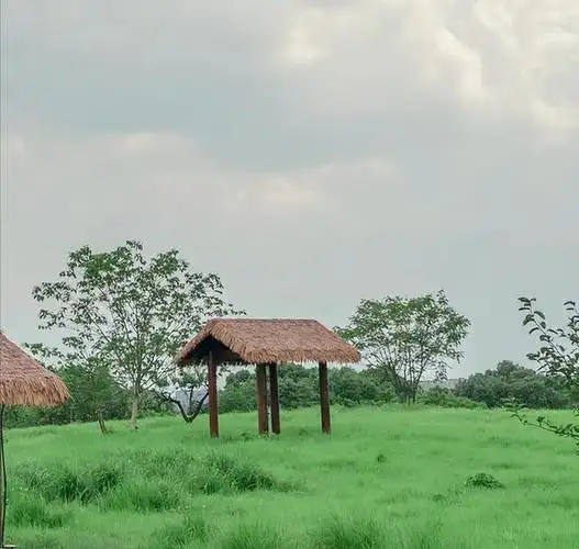安静淡然的意境图片句子安静淡然的意境图片男