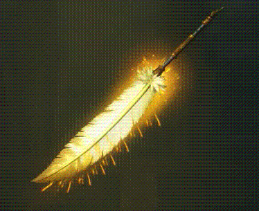 374_305gif 动态图 动图