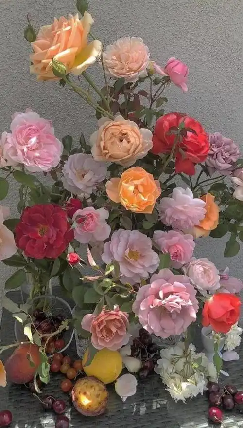 本文关键词:ins复古欧美风壁纸图片,ins风唯美壁纸,高清壁纸ins风