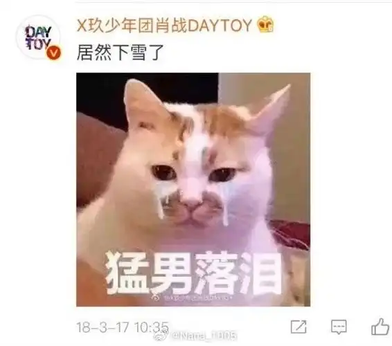 早期的一些可爱的肖·表情包富翁·战