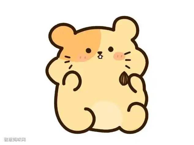 乌龟兔子和乌龟简笔画各种可爱的小动物彩色简笔画大全16种常见的卡通