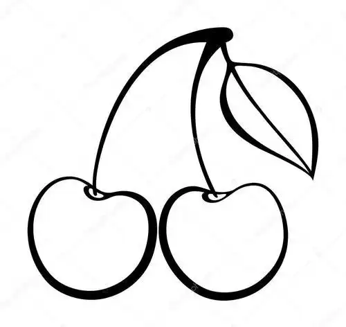 简单樱桃简笔画 简笔画图片大全-普车都