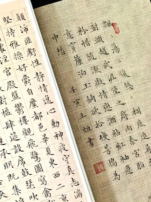 新纸真漂亮#每日练字打卡  #我的书法分享  #书法  #小楷  #文征明