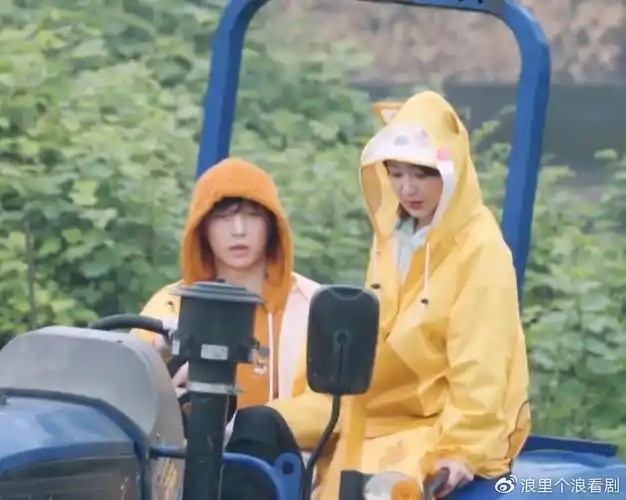 向往的生活为什么杨紫张艺兴越辟谣这对cp越好嗑