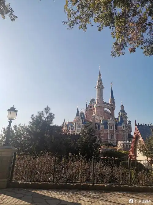 上海迪士尼乐园一日游_国内门票与活动_什么值得买