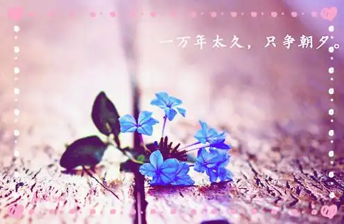 经典心灵鸡汤唯美图片触动心灵的语录