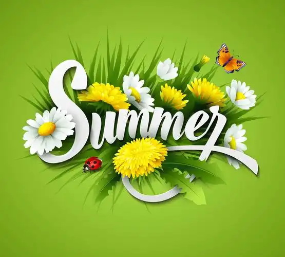 清新,夏天,背景,草,蒲公英,雏菊