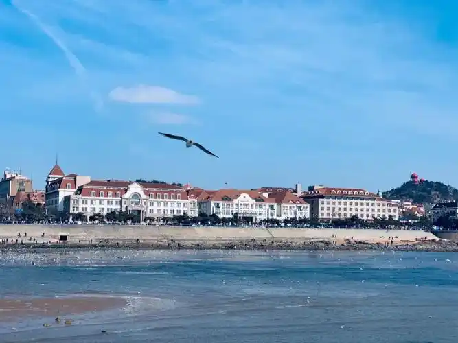 易烊千玺《送你一朵小红花》取景的青岛,藏了太多本地人才知道的宝藏