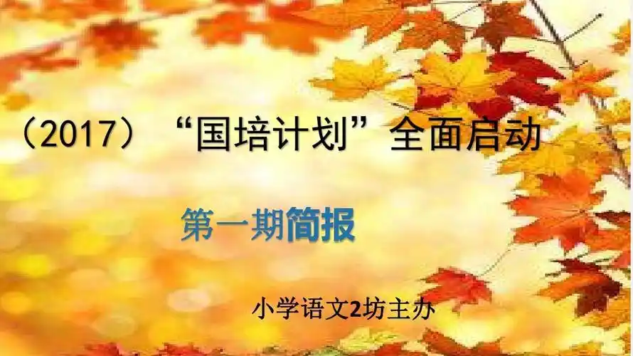 工作坊简报第一期ppt