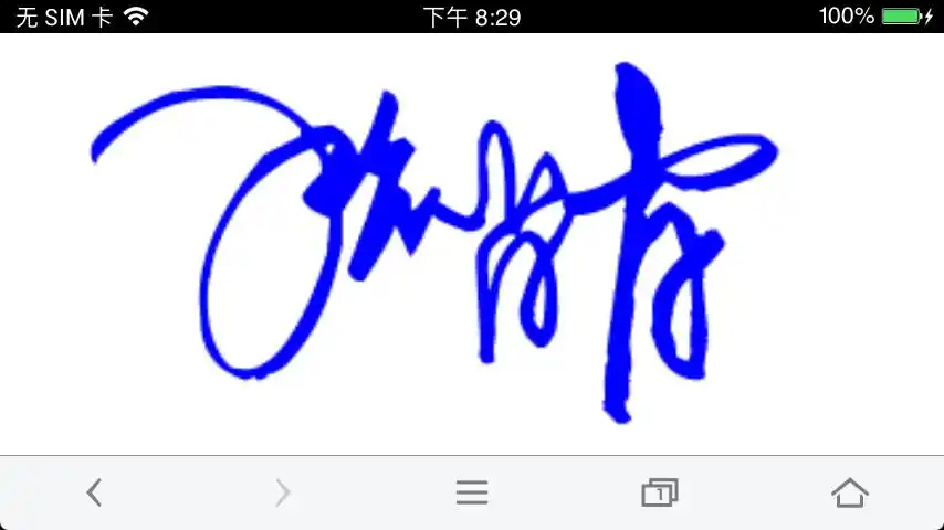 张肖肖,的艺术签名怎么写.谢谢.