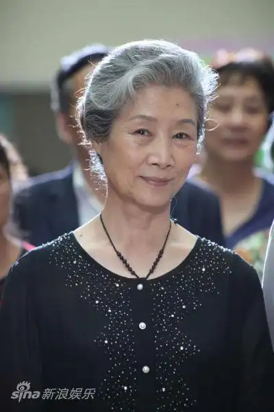 资料劝和小组主角吕中饰陈奶奶