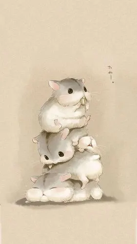 敲可爱的小仓鼠壁纸