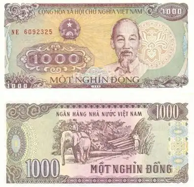 我有一张面值1000元纸币,正面的图案是一个人的头像,背面的图案有一只