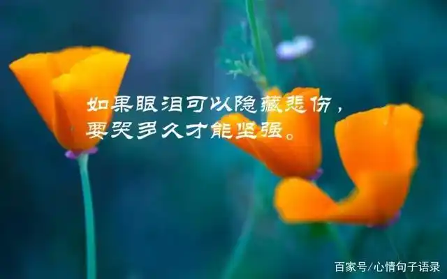 句句深入人心的经典句子:直击心灵,感触良深