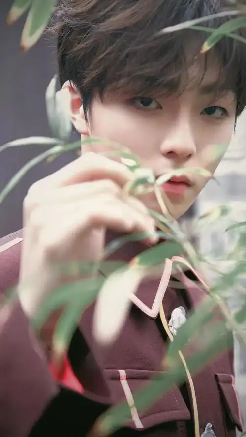 百分九② - 堆糖,美图壁纸兴趣社区