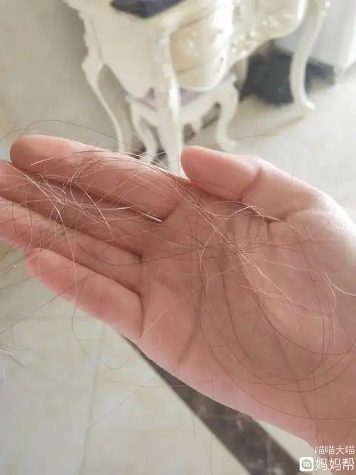 十几根白发图片_发型图片