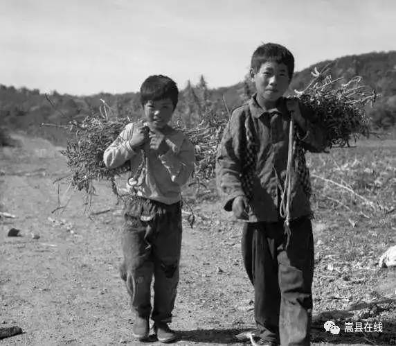 虽然不能用"吃了上顿没有下顿"来形容,因为那是旧社会穷人们的生活