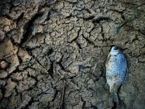 [快乐通什园]——"小水滴,大世界"节约用水倡议书