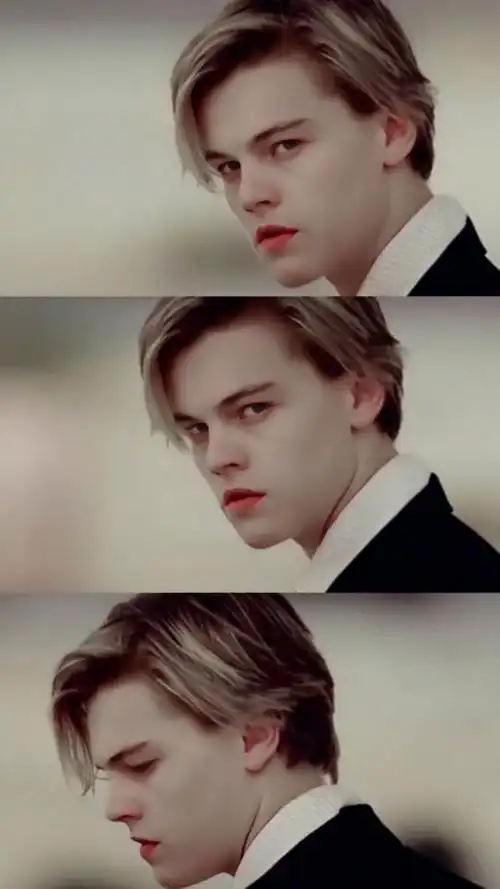 【专题壁纸12】:盛世美颜之小李子