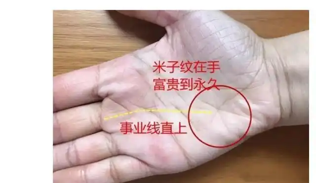 女性手相有此纹十人九福不忧钱财手如伏龟富贵何愁