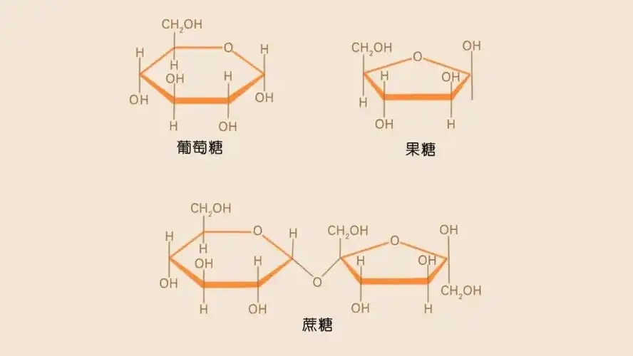 九人分享让你大跌眼镜的与食物有关的事实