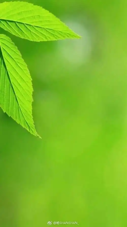 高清微信护眼图