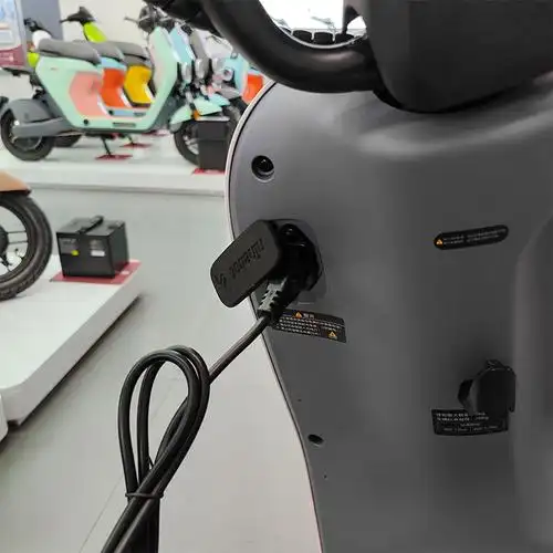 适用于九号电动车充电器适用电动新国标自行车a30c35a40a65原厂铅酸