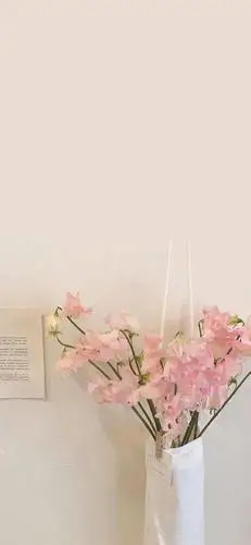 壁纸|生活明朗,万物可爱