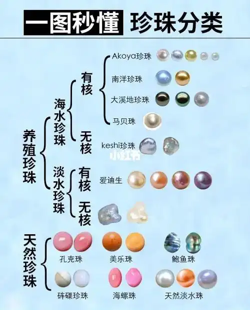 一图秒懂珍珠的分类