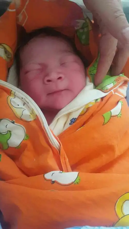 一路见证小海豚的成长陪伴宝贝的每个第一次