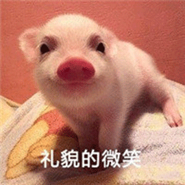 萌宠gif猪gif小猪gif宠物猪gif礼貌的微笑gif搞怪gif