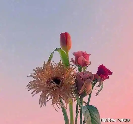 原创 唯美有气质的抖音文案