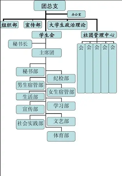 入党积极分子推荐表 团委分工 组织机构设置 团委工作制度 团委活动方