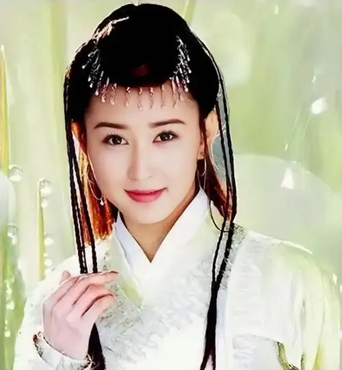 43岁胡静简介(吴彦祖为她做媒)(11)