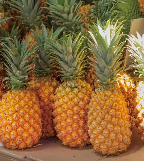 六月瓜果香炎炎夏日我们常见的那些水果