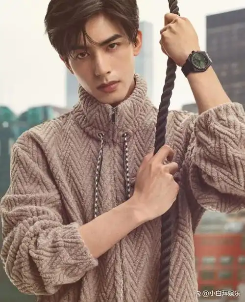 于正主捧的是许凯,虽然也很帅,但是口碑还不如宋威龙.