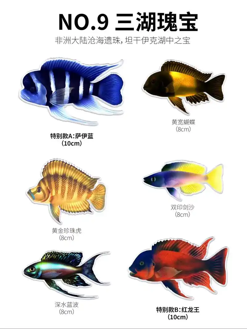 三湖慈鲷系列磁吸贴来啦.