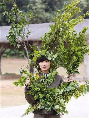 李宇春最想删的几张照片,看完笑出"猪叫"只怪自己太年轻