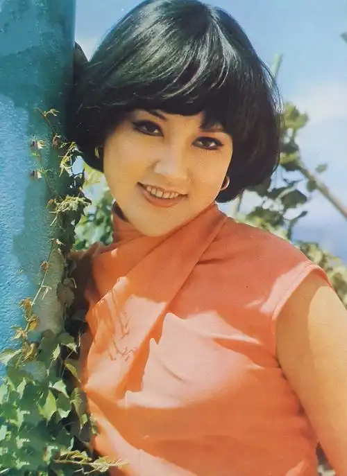 邵音音邵音音的香江往事