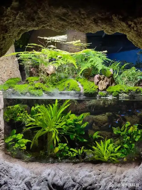 大型鱼缸造景景观设计