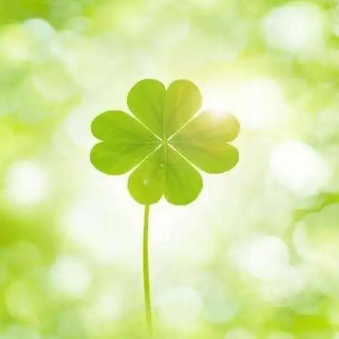 积极阳光正能量的头像,积极阳光正能量的头像女